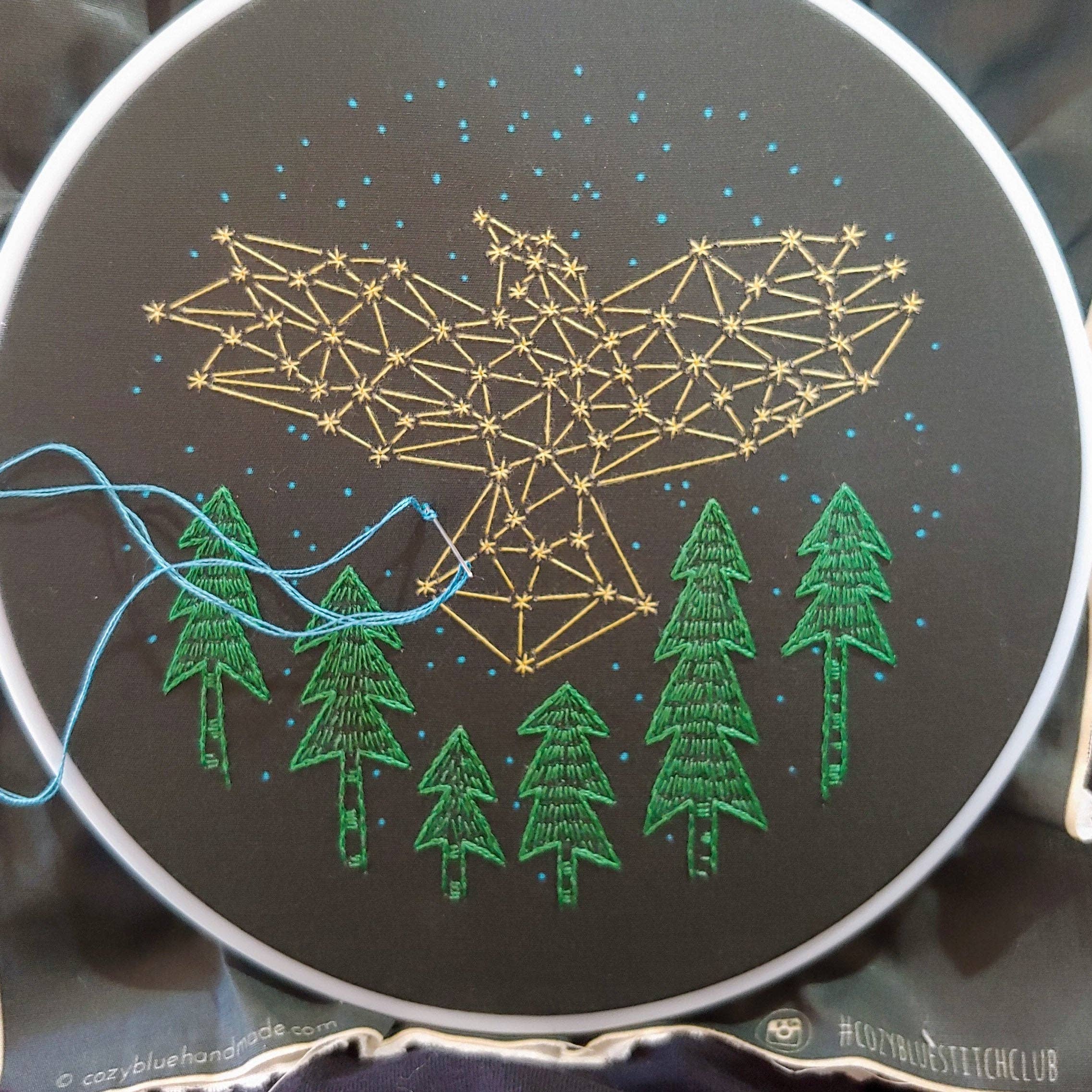 The crow embroidery kit