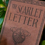 The Scarlet Letter by Nathaniel Hawthorne 1850 Book Wallet