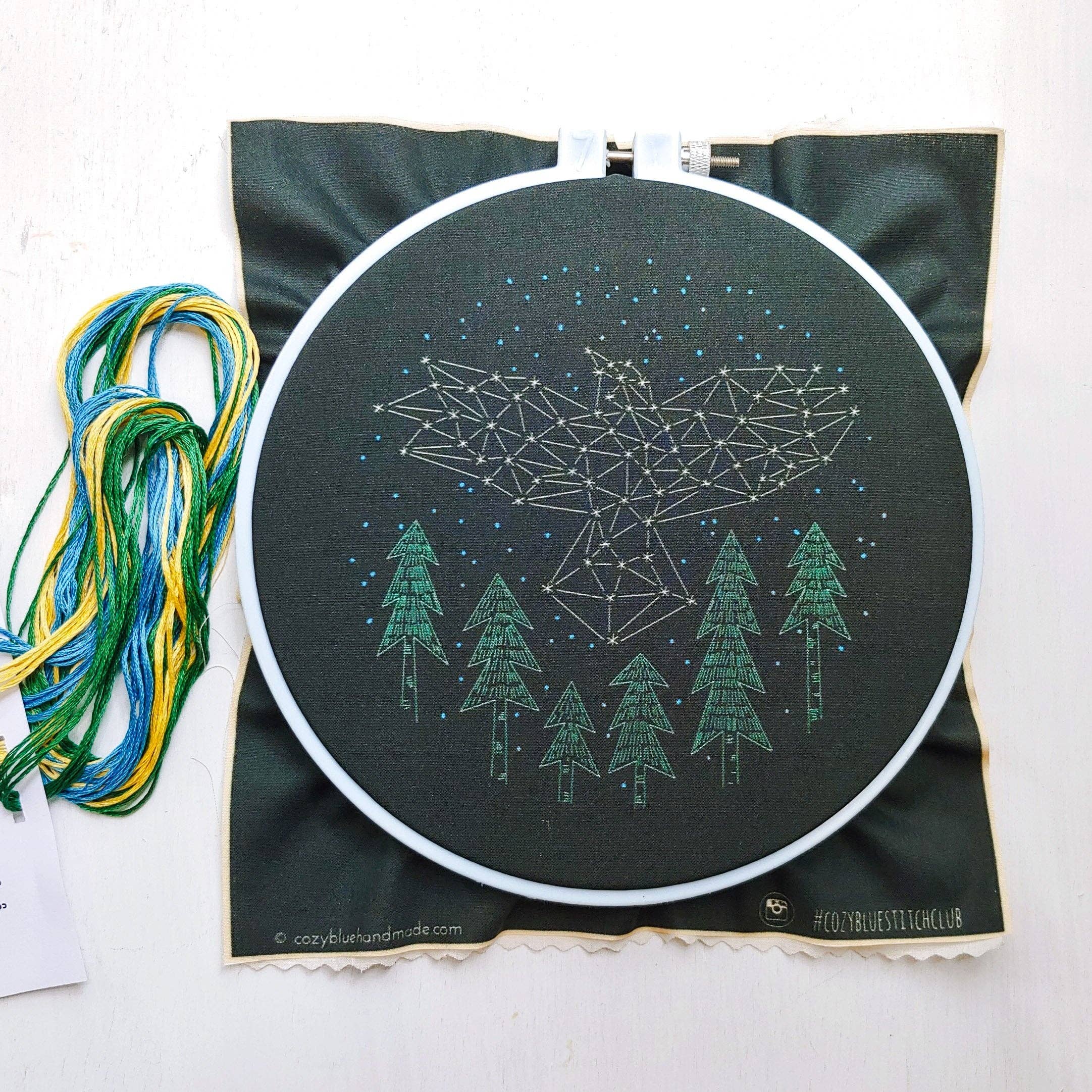 The crow embroidery kit