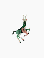 3D Wall Art - Wild Animals - Antelope