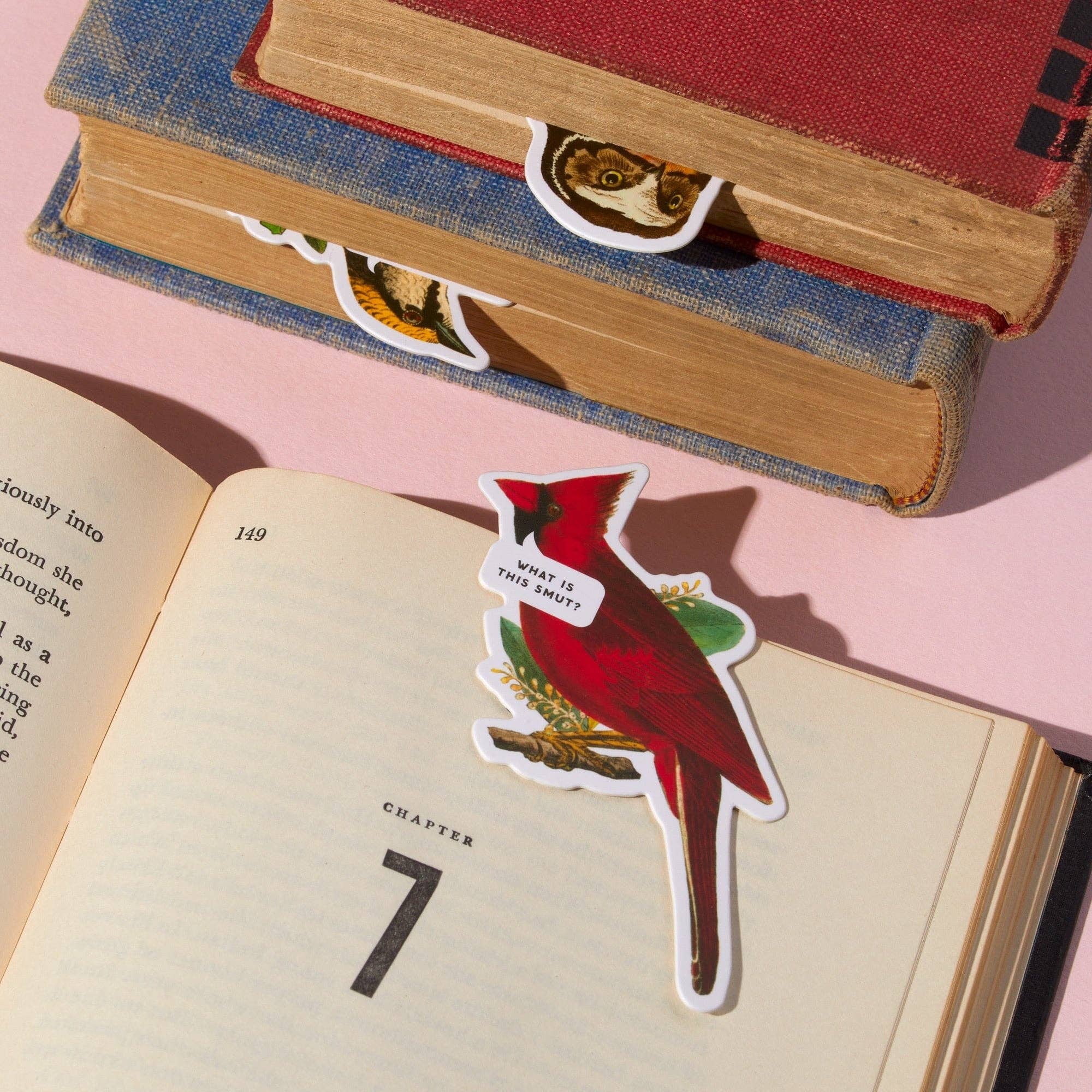 Brass Monkey Salty Birds Magnetic Bookmark Set