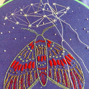 Midnight flight embroidery kit