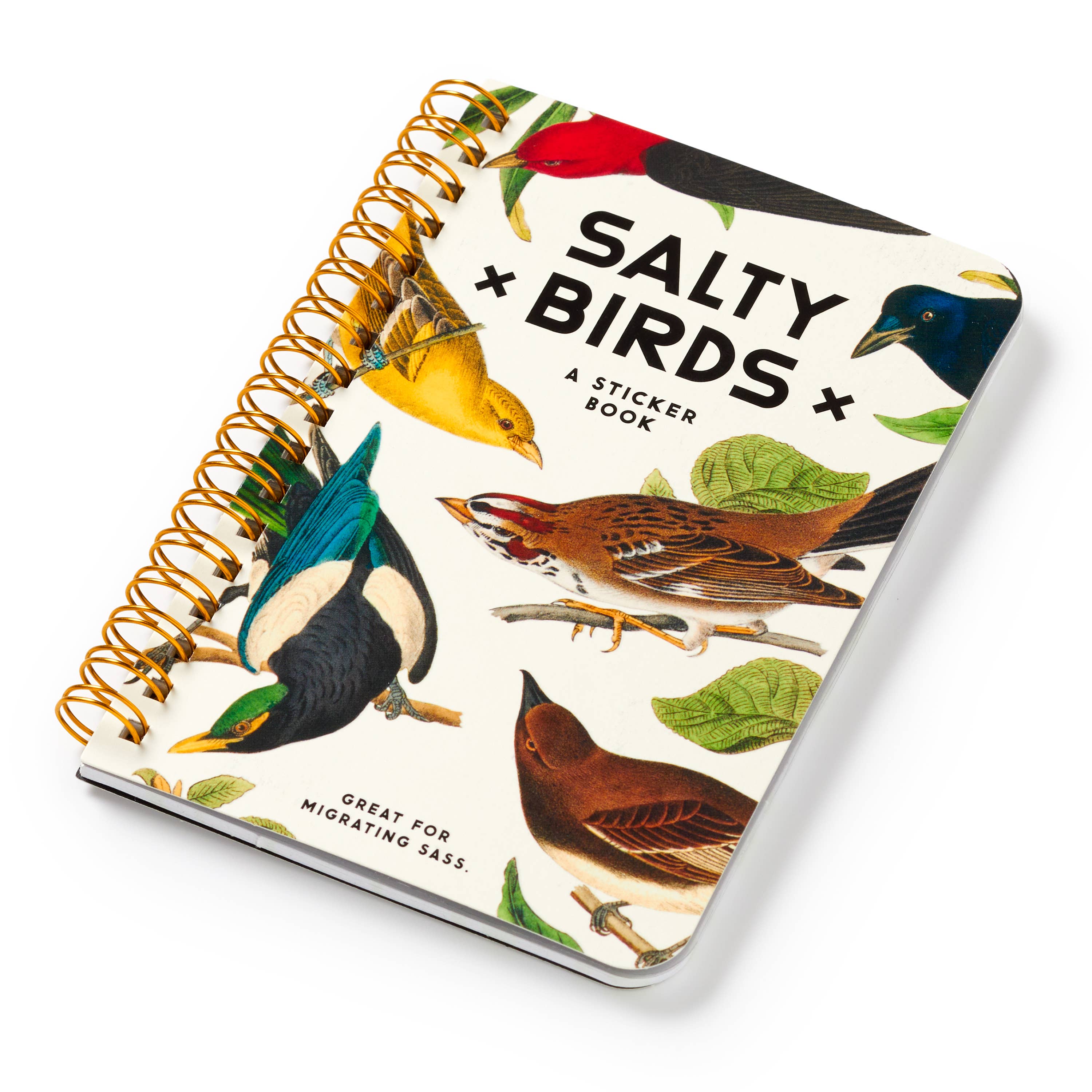 Brass Monkey Salty Birds Sticker Book