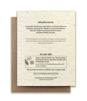 Lavender Plantable Wildflower Seed Card