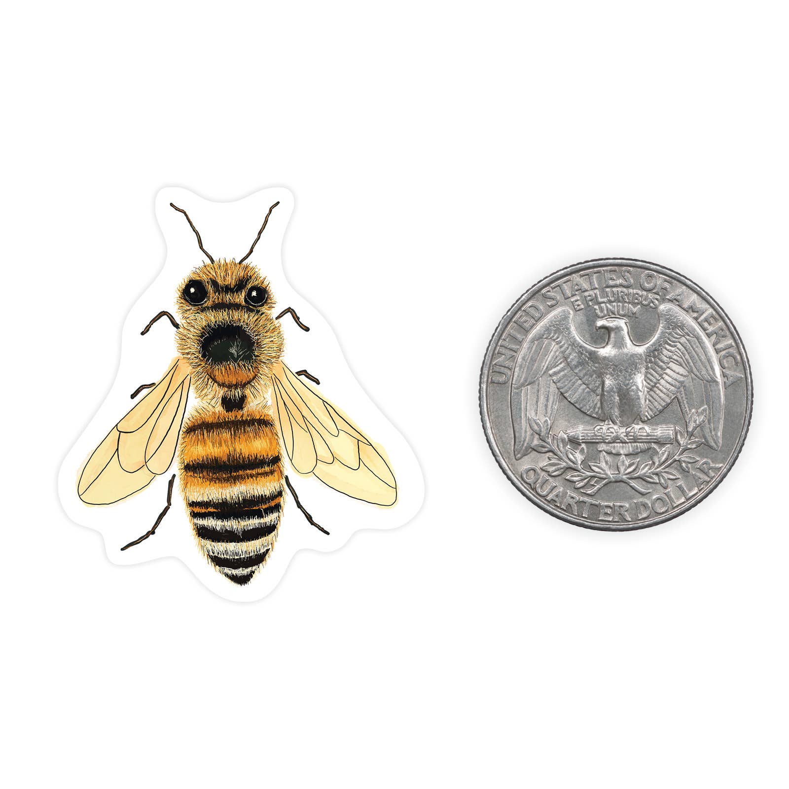 Bee - Mini Sticker