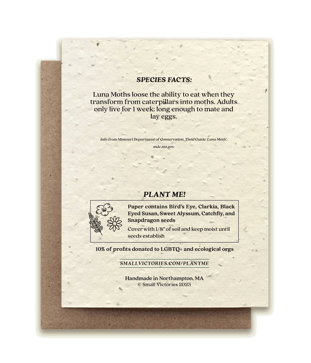 Luna Moth Plantable Wildflower Seed Card