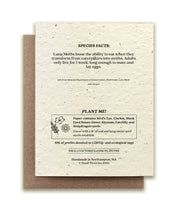Luna Moth Plantable Wildflower Seed Card