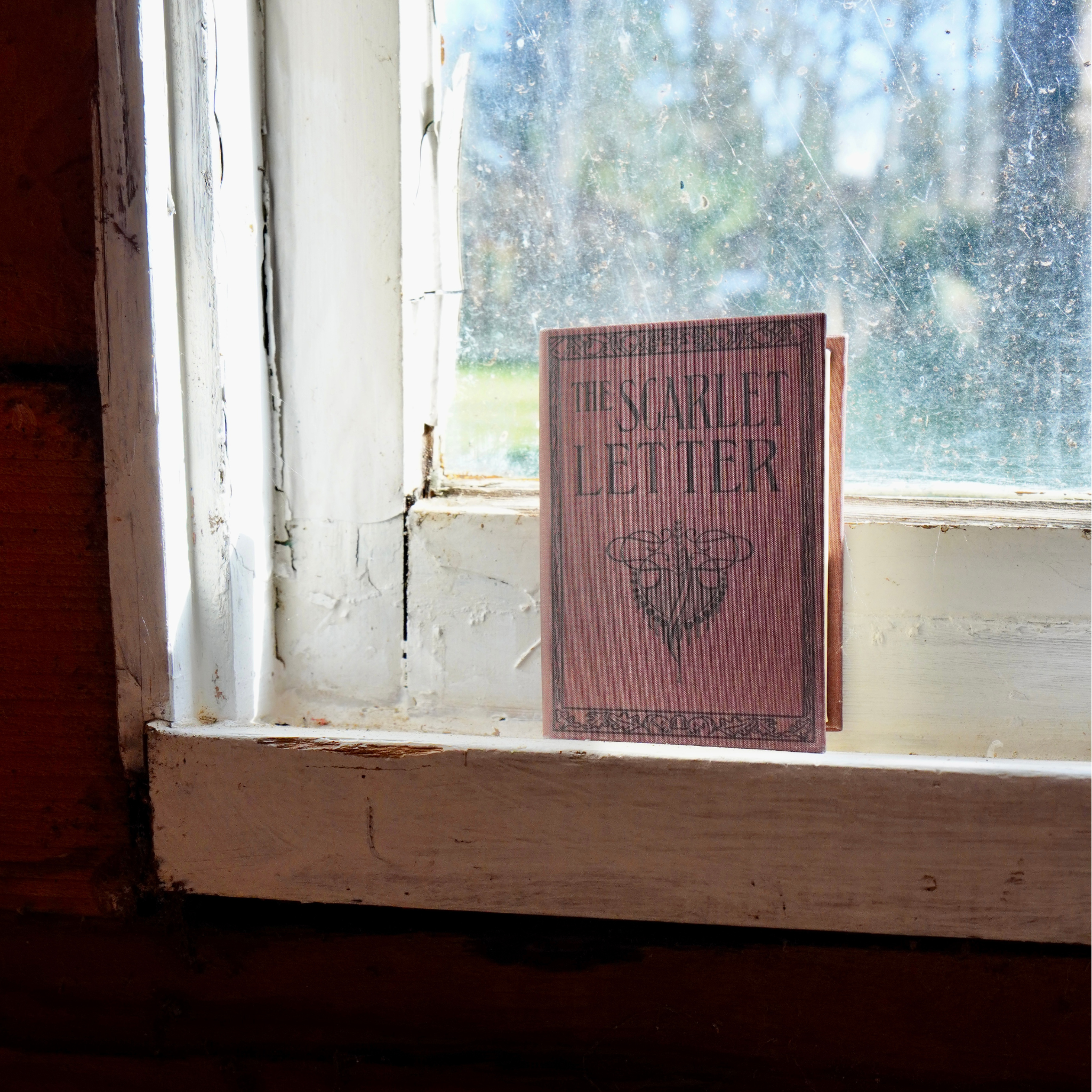The Scarlet Letter by Nathaniel Hawthorne 1850 Book Wallet