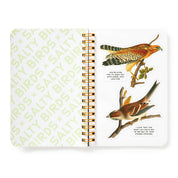 Brass Monkey Salty Birds Sticker Book