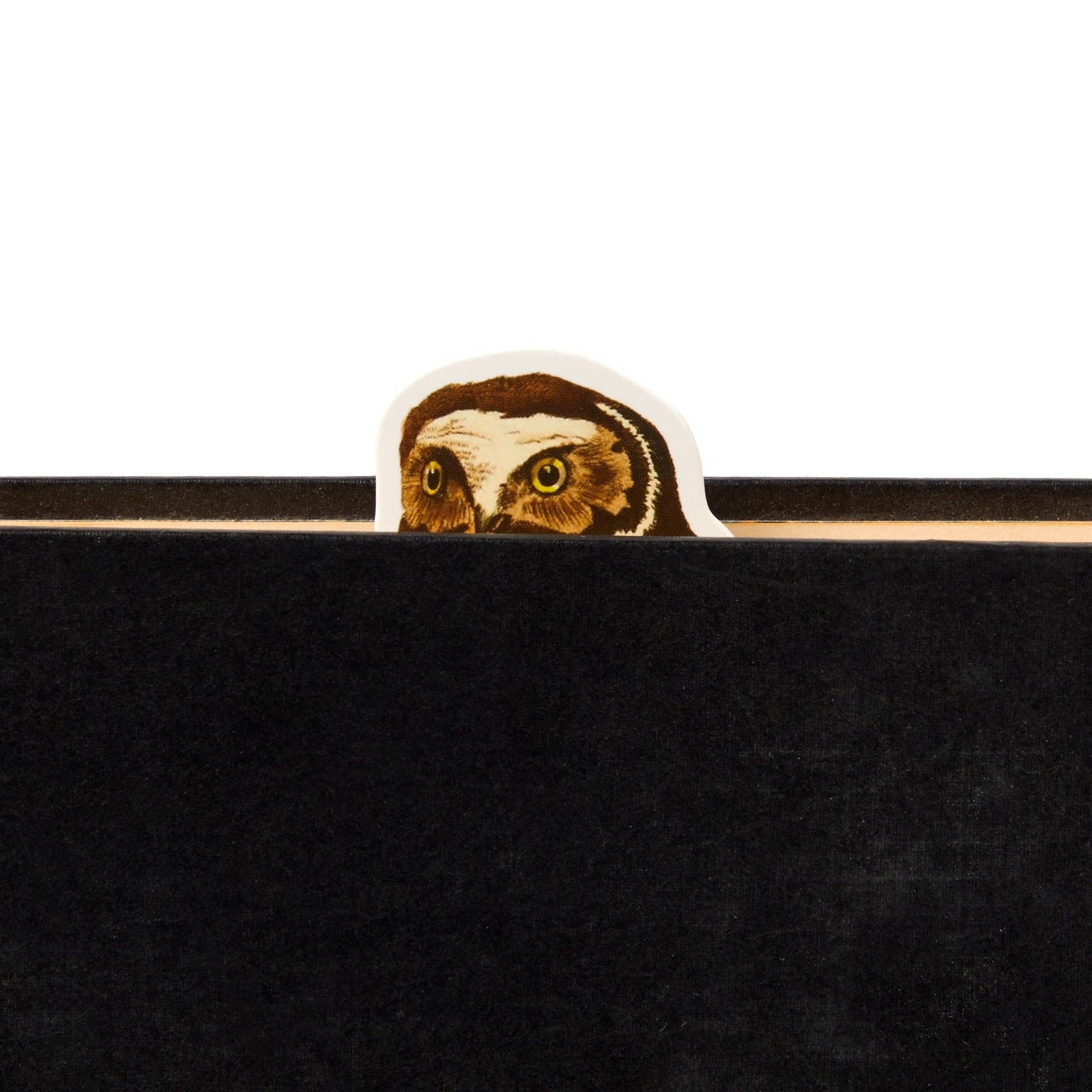 Brass Monkey Salty Birds Magnetic Bookmark Set