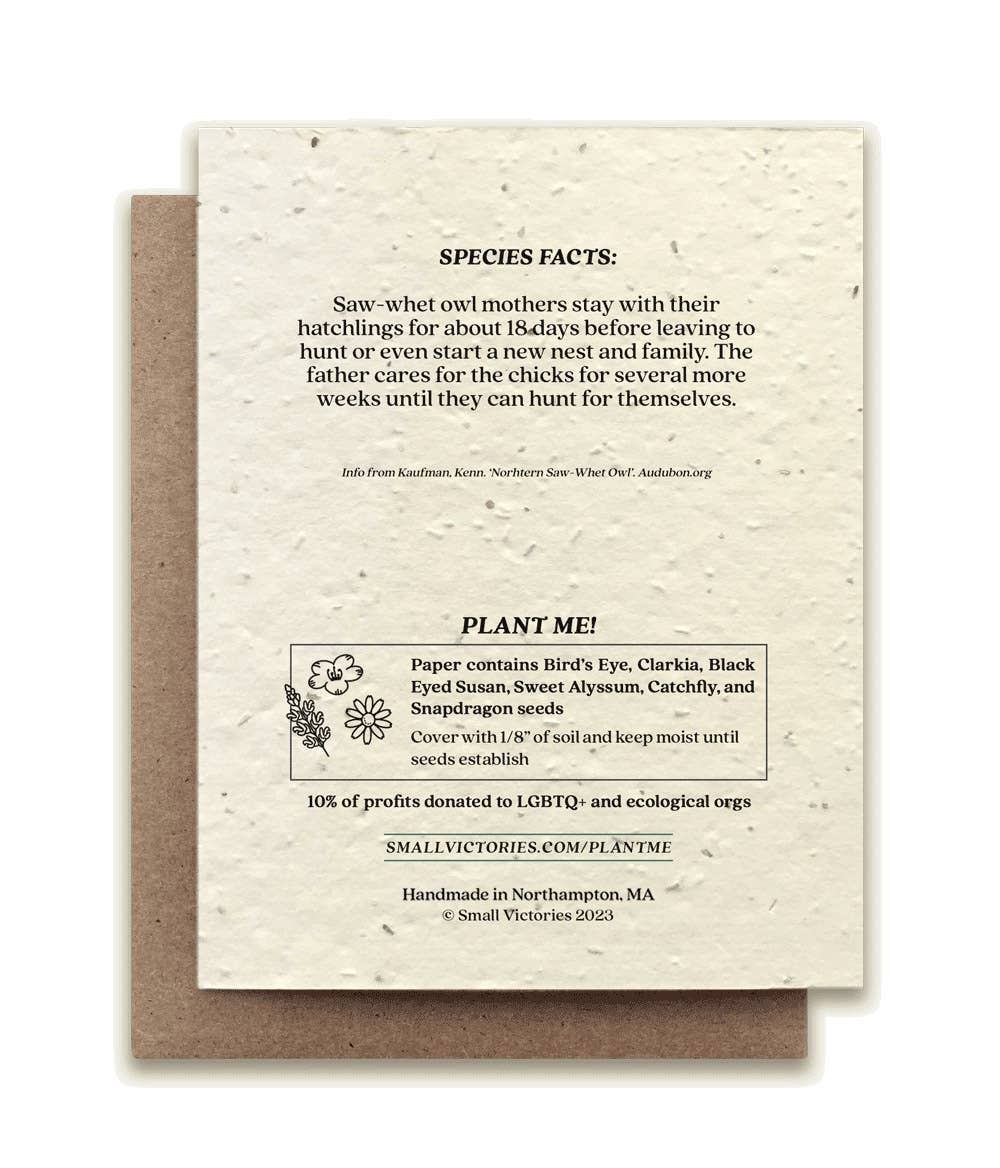 Northern Saw-Whet Owl Plantable Wildflower Seed Card