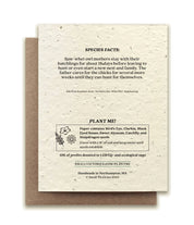 Northern Saw-Whet Owl Plantable Wildflower Seed Card