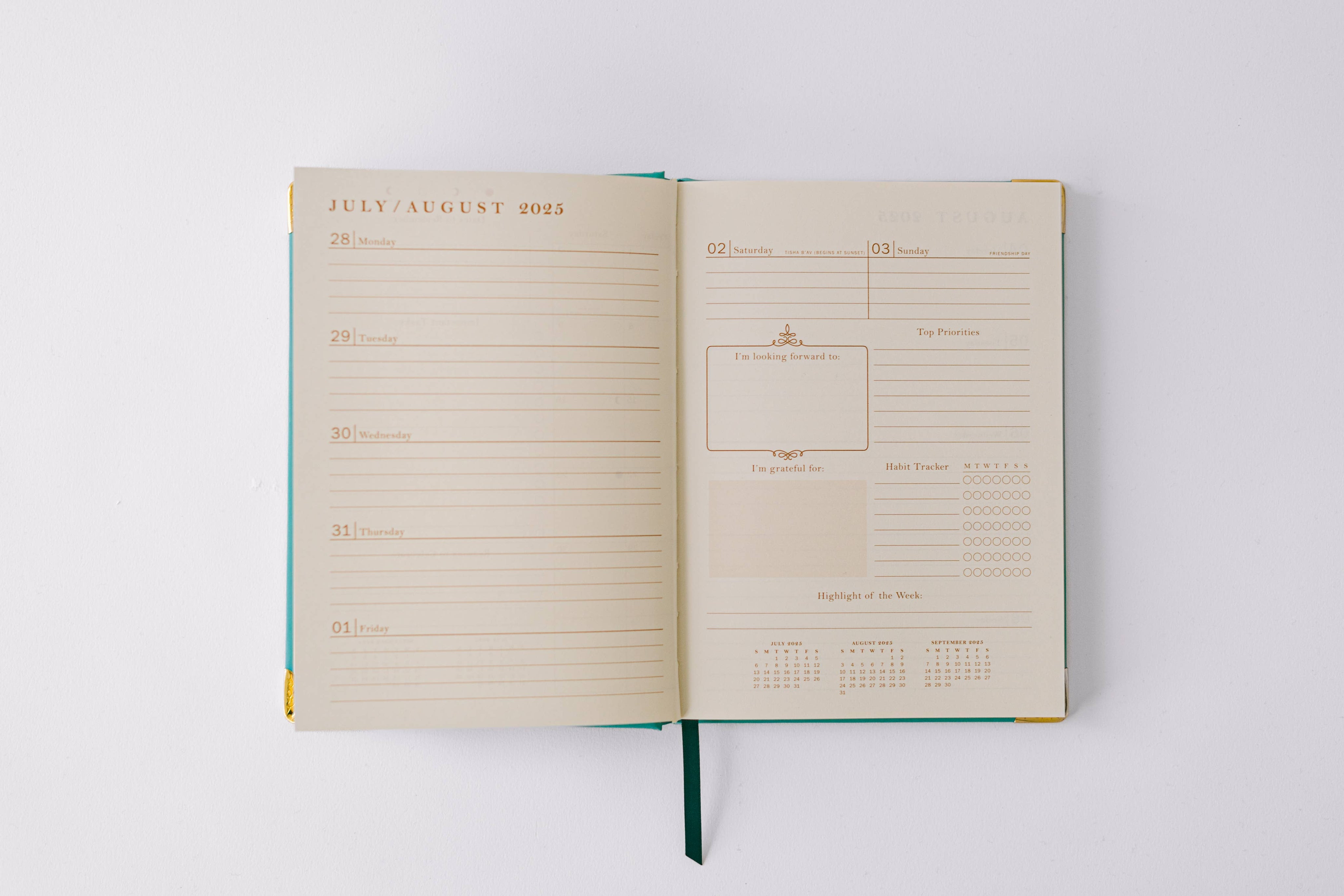 2026 Painted Frame 17-Month Medium Bound Planner