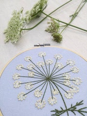 Queen anne's lace embroidery kit