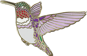 Hummingbird Enamel Pin