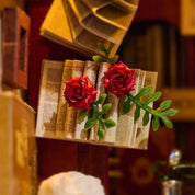 DIY Book Nook Kit: Main Street Books
