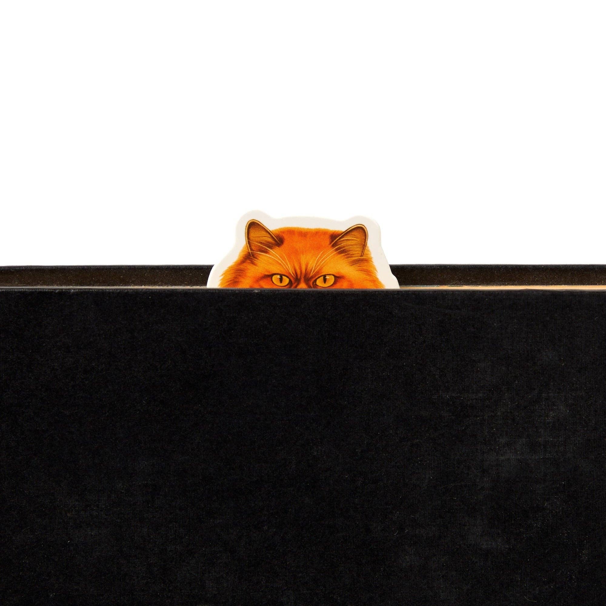 Brass Monkey Moody Cats Magnetic Bookmark Set