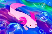 Axolotl - Mini Jigsaw Puzzle