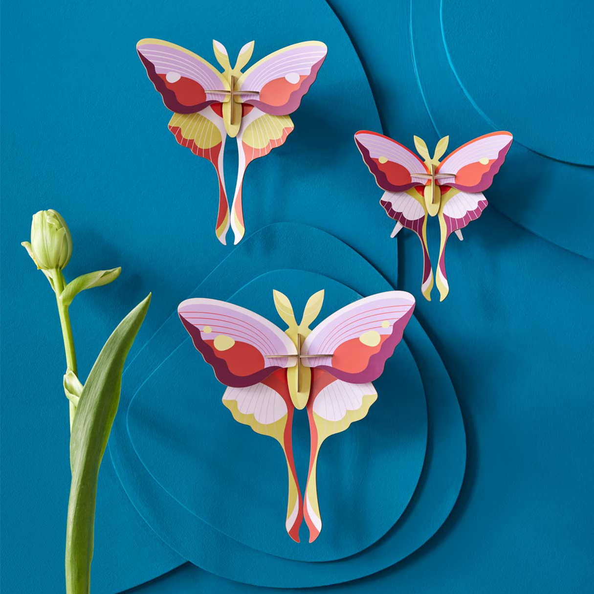 3D Wall Art - Butterflies- Lilac Comet Butterflies, set of 3