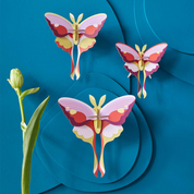 3D Wall Art - Butterflies- Lilac Comet Butterflies, set of 3
