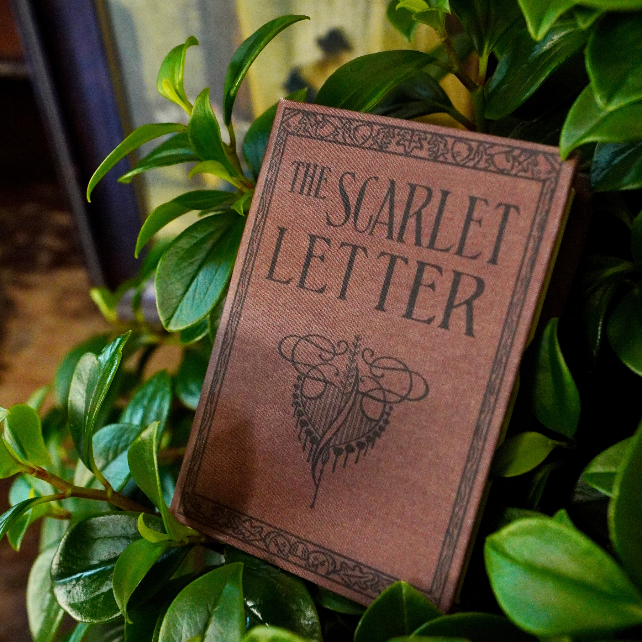 The Scarlet Letter by Nathaniel Hawthorne 1850 Book Wallet