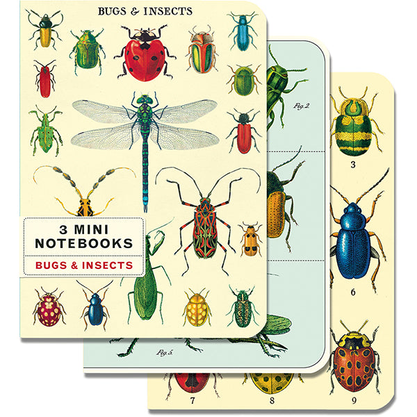 nbbug_mini_n.jpg
