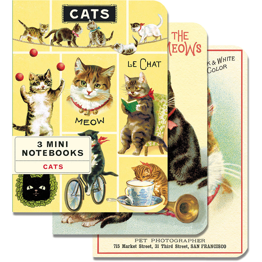 nbcat_mini_l.jpg