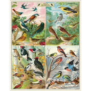 World of Birds 1,000 Piece Puzzle