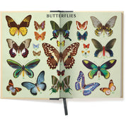Butterflies Window Journal